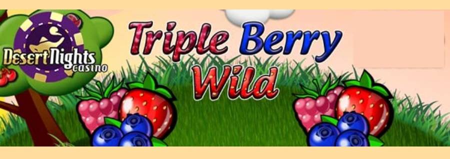 Claim $15 Free Chip And 400% Up To $4000 Online Casino Bonus For Triple Berry Wild Slot